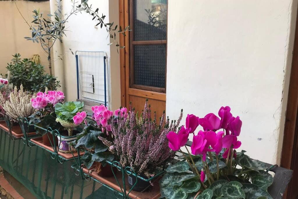 Deluxe Apartment In The Centre Of Florence Exterior photo